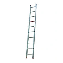 Ladder Altrex 1x10 treden